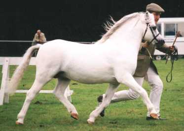Roseisle Pandy Tudyr